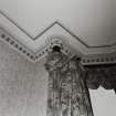 Interior.
Detail of bedroom cornice.
