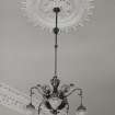Ground floor, drawing room, ceiling rose and light fitting, detail