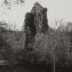 General view.