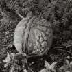 Fallen ball finial (decorated with fruit), detail