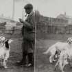 Man with two dogs.
Negative insc: 'Excelsior Stereoscopic Tours', 'English Setters - Mr Chapman's Kennels, Glenboig', 'Copyright 1897, by MR Wright'.