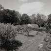 View of walled garden from gazebo to South