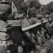 Detail of Terrace Wall showing planting