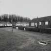 View of semi-detached veterans' bungalows