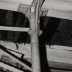 Interior.
Detail of column head.