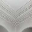 Interior.  Ground floor, library, detail of ceiling plasterwork at angle.