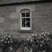 Detail of window