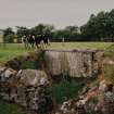 View of well