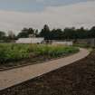 Garden from SE