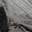 Interior, Main greenhouse from SW