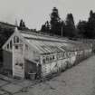 Small greenhouse from SW