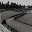 Elevated view of garden from NW