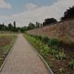 S section of garden from SW