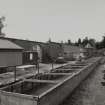 General view towards pineapple house with cold frames from E