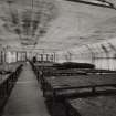 Interior. View of glasshouse