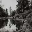 View of fire pond and Camperdown House from E