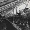 Interior.
Detail of central lean-to section and supporting cast-iron arcades.