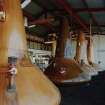 Aberfeldy Distillery
Interior view from NE of Still House, showing 4 stills