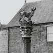Detail of statue of dog and crown on top of fountain.