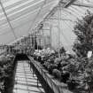 View of interior of greenhouse from East.