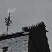 Dunning, St. Serf's Parish Church.
Detail of South-East skewput on West tower.