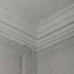 Interior. Detail of cornice