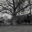 View of Cathedral and ruins of Cathedral from SSE through trees