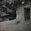 On-line Digital Images