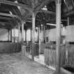 Interior. View of main byre showing roof structure and stalls