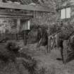 Steading, W range, byre, view of interior from N