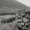 An Lag Bho'n Tuath.
View of enclosure walls from West.