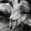 Lead sculpture by Charles Mackie in garden to South of main house, detail of hoof.