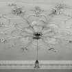 Edinburgh, Frogston Road East, Mortonhall House, interior.
View of entrance hall ceiling rose. A design of leaves and flowers radiating from a central ring of large plaster leaves.