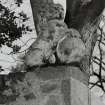 East gate pier, sculptured beast on top, detail