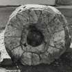 Edinburgh, Miller's Row, Granary.
View of grinding face of a 13 piece burr 'runner' or 'top' stone.