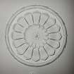 52, 54, 56 Melville Street, interior.
Detail of ceiling rose.