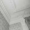 Alexander Graham Bell suite Detail of cornice