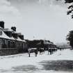 Edinburgh, Davidson's Mains, Quality Street.
General view of street with many cows in the road.