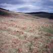 Leataidh: view of byre-dwelling (Rog95 709) from NW