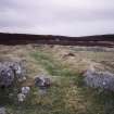 Leataidh an Raidhrich township; view of building (Rog95 559) from W