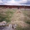 Leataidh an Raidhrich township; view of building (Rog95 559) from W