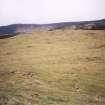 Little Rogart: view of cultivation remains towards S end of township