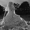 Detail of pictish symbol stone with scale.