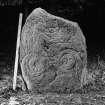 Pictish symbol stone with scale