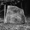 Pictish symbol stone with scale