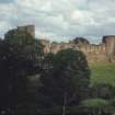 General view from S.