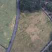 Dunkeld, Dunkeld House.
General aerial view of cropmarks on site of Dunkeld House.