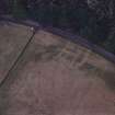 Dunkeld, New Palace.
Aerial view of cropmarks on site of New Palace.